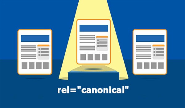 Bạn hãy gắn thẻ Canonical cho các bài phụ có cùng nội dung với bài viết chính.
