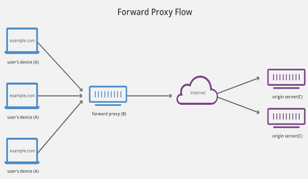 Quy trình của hệ thống Reverse Proxy của bạn