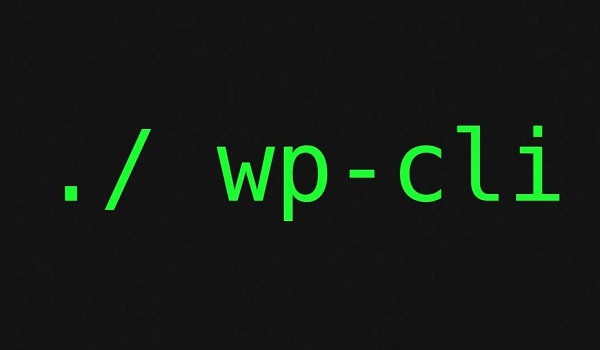 Sử dụng Plugin WP CLI để xóa WordPress Cache