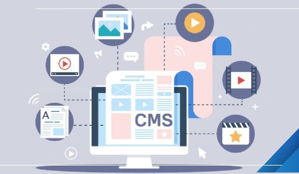 Người dùng có thể cài đặt phần mềm CMS dễ dàng chỉ với một cú nhấp chuột