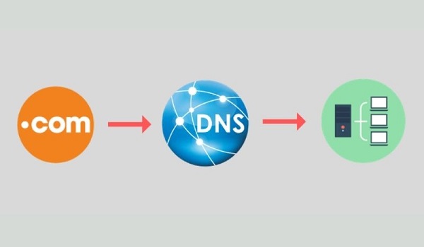 DNS sẽ chuyển đổi tên miền thành địa chỉ IP tương ứng với tên miền đó và ngược lại.