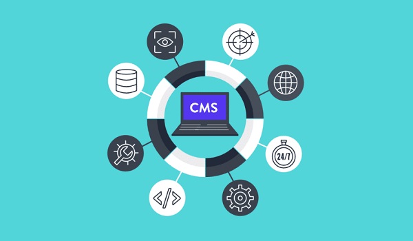 CMS sẽ giúp bạn tạo trang Web, lưu trữ hình ảnh và các chức năng khác