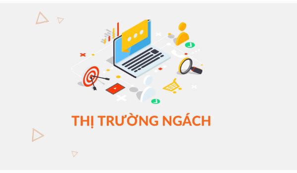 thị trường ngách là gì