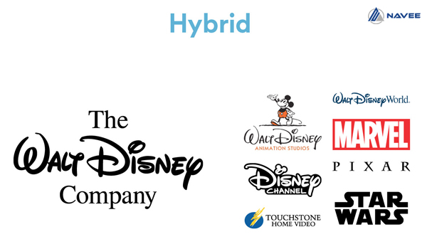 Hybrid Brand Architecture