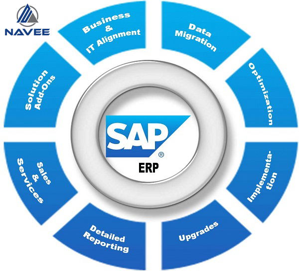 Phần mềm ERP được phát triển trong nước và nước ngoài