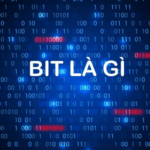 Bit là gì? Phân biệt Bit và Byte chi tiết và dễ hiểu 