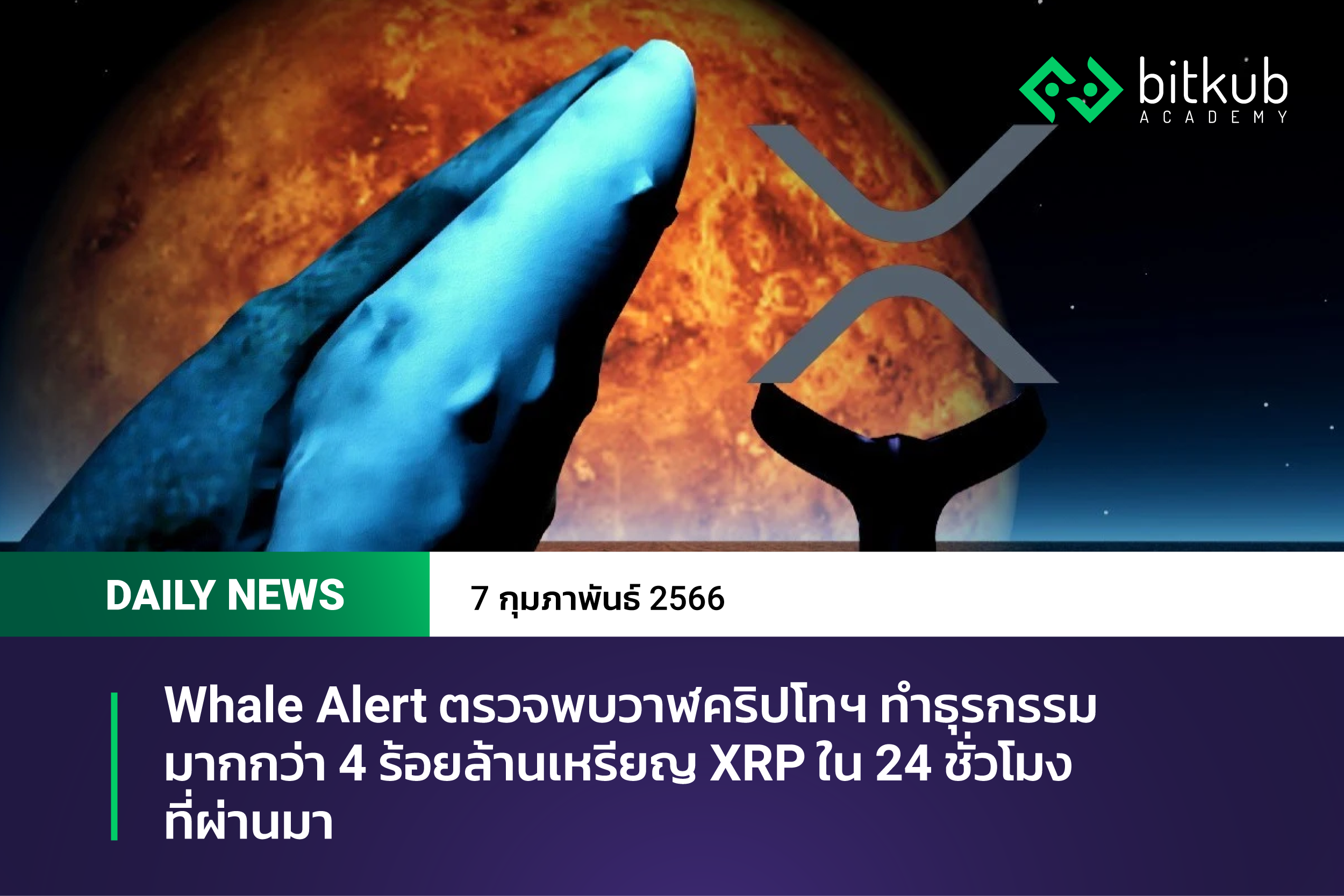 Whale Alert ตรวจพบวาฬคริปโทฯ ทำธุรกรรมมากกว่า 4 ร้อยล้านเหรียญ XRP ใน 24  ชั่วโมงที่ผ่านมา | Bitkub Academy