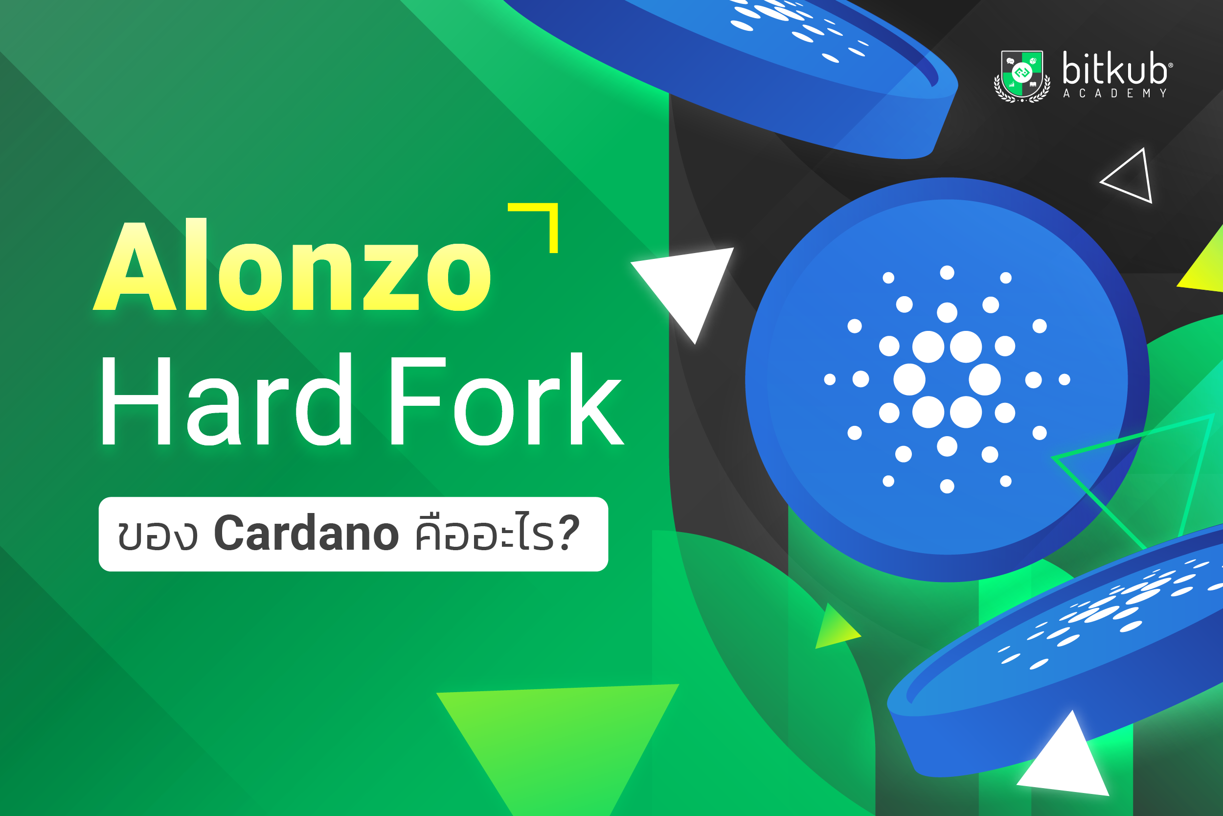 What is Cardano Alonzo Hard Fork? | Bitkub Academy