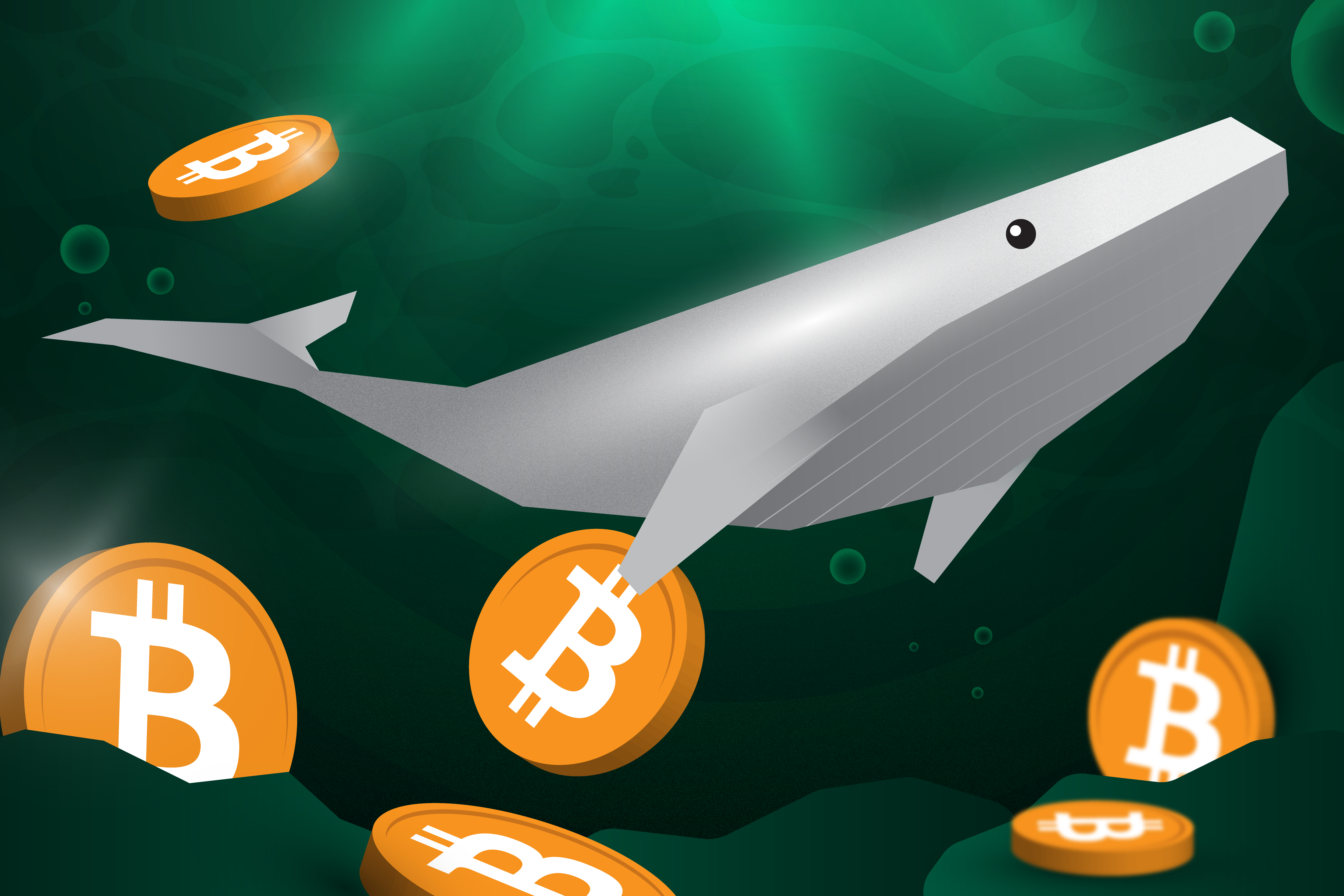 วาฬคริปโทฯ คืออะไร และนักลงทุนจะติดตามกิจกรรมของวาฬได้อย่างไร | Bitkub  Academy