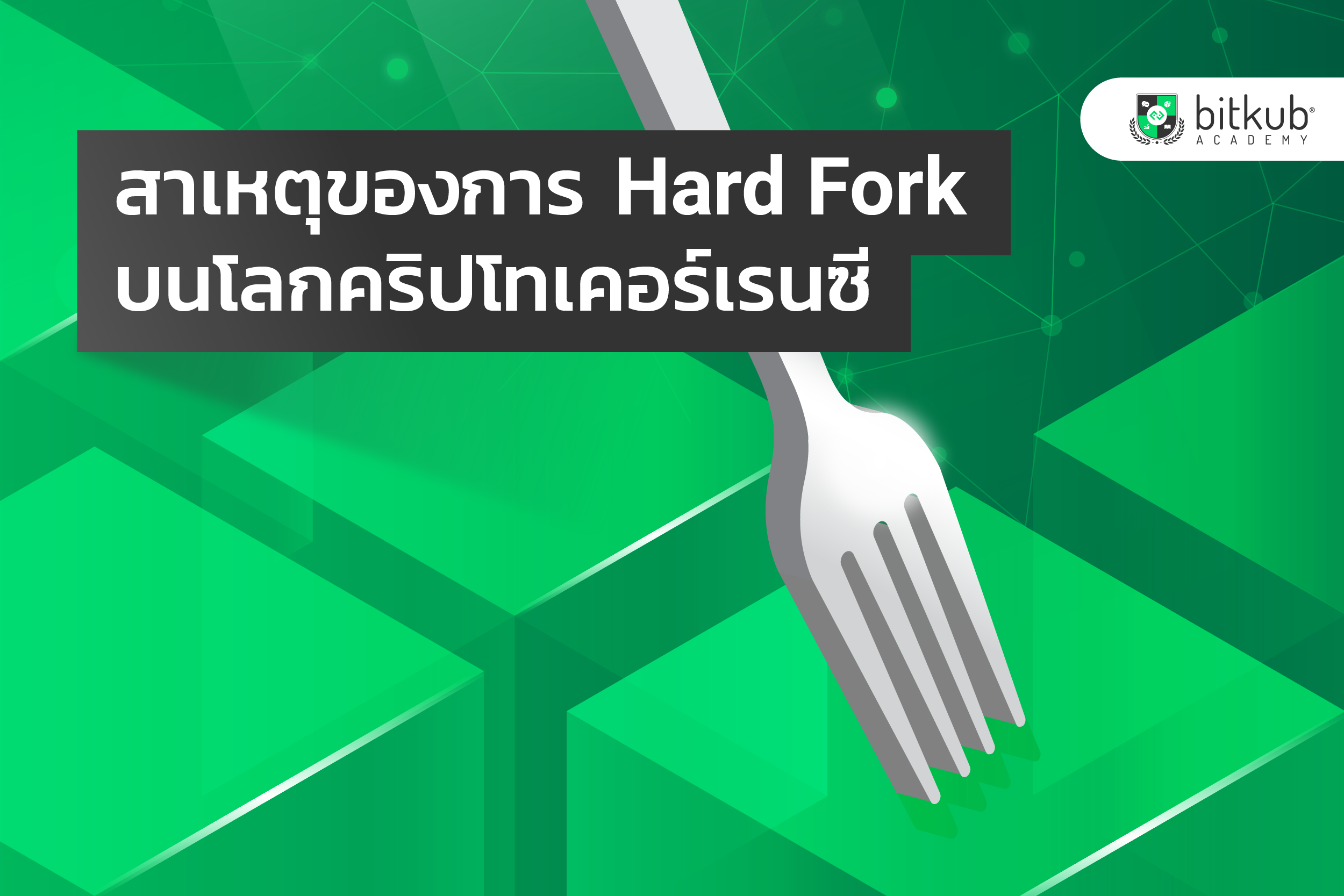 สาเหตุของการ Hard Fork บนโลกคริปโทเคอร์เรนซี | Bitkub Academy