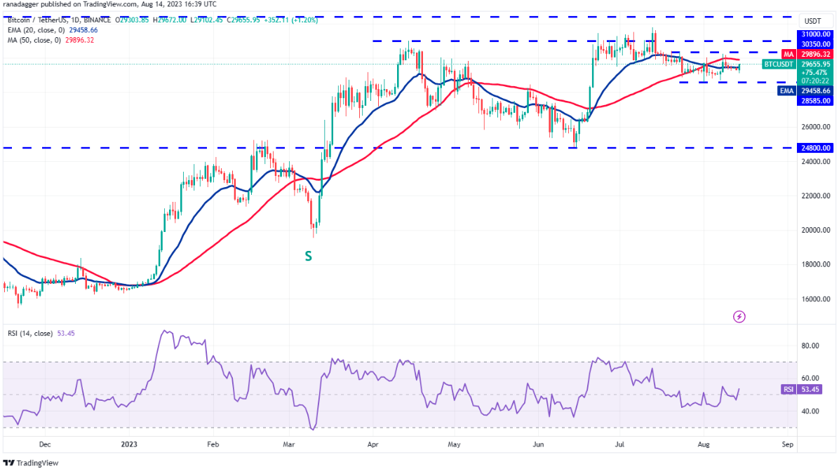 Bitkub Academy Weekly Insight: 14 - 20 สิงหาคม 2023 | Bitkub Academy