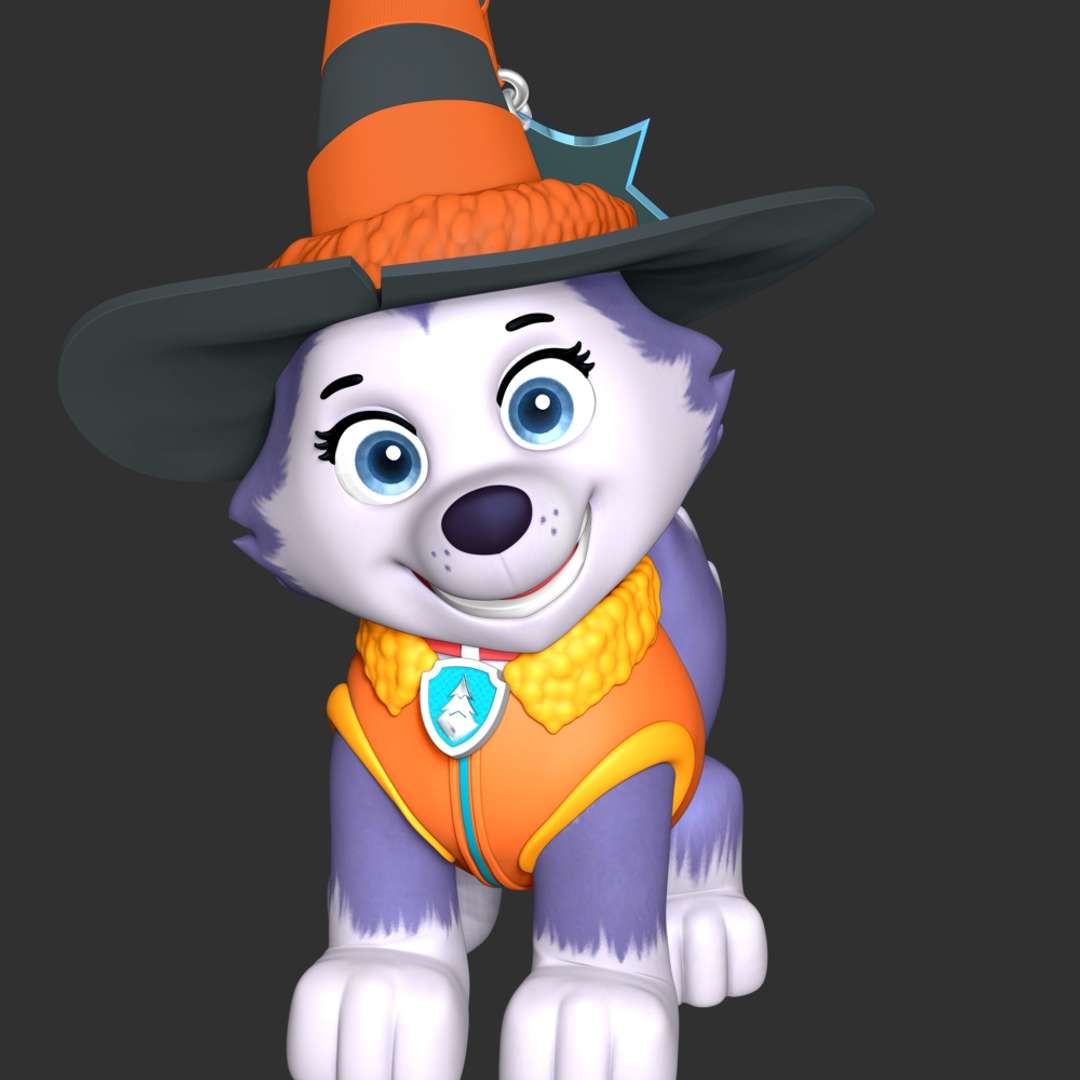 CO3D - Everest - Paw Patrol