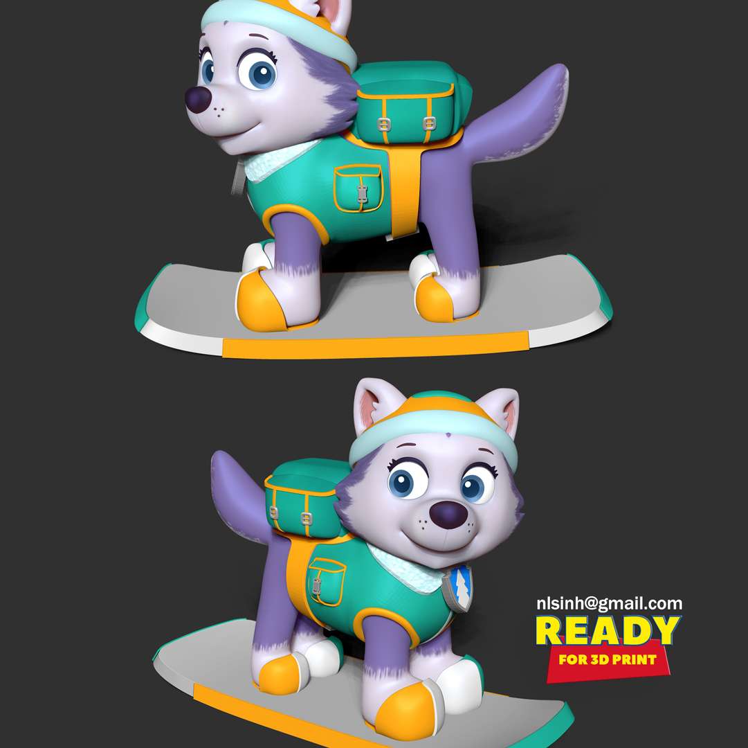 CO3D - Everest - Paw Patrol