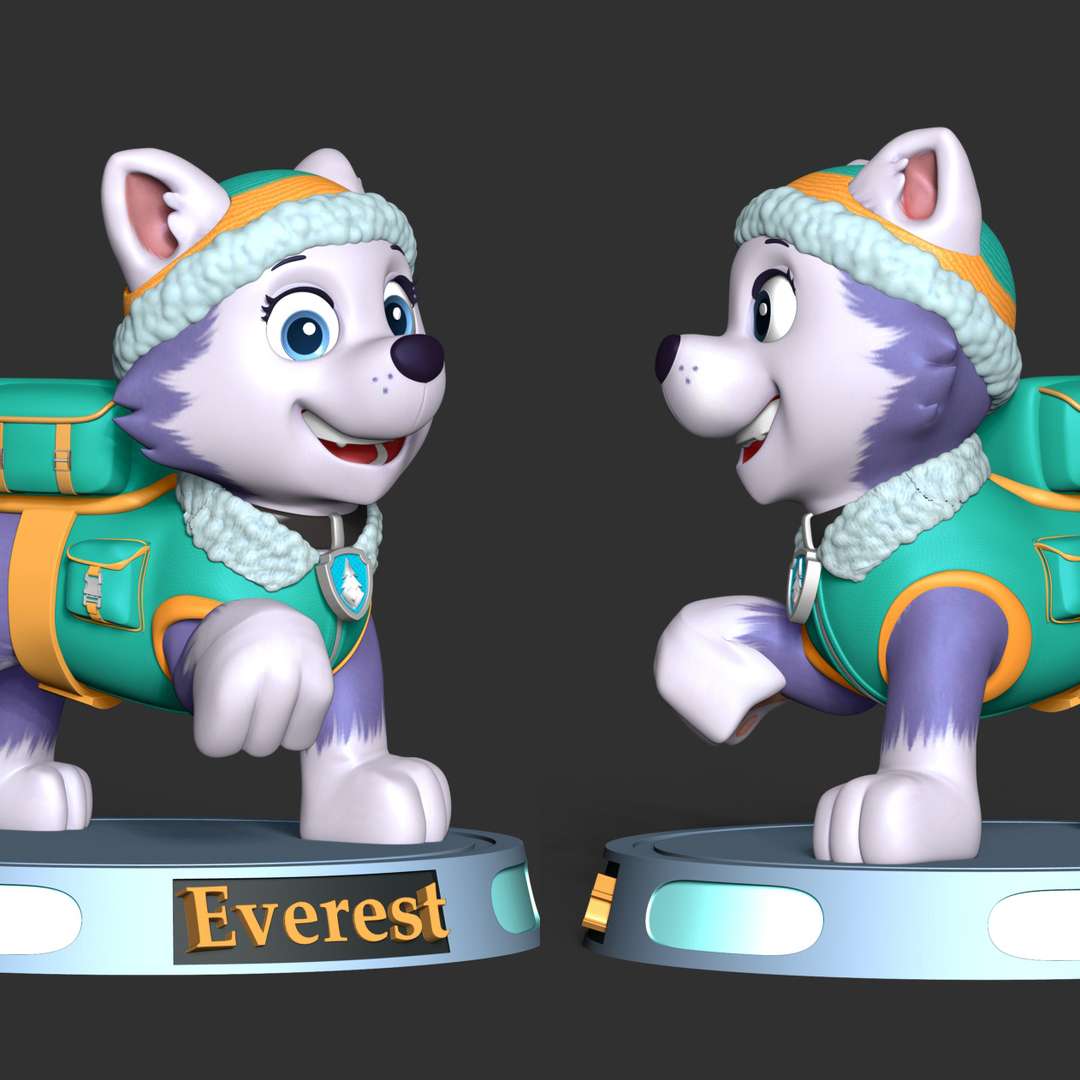 CO3D - Everest - Paw Patrol