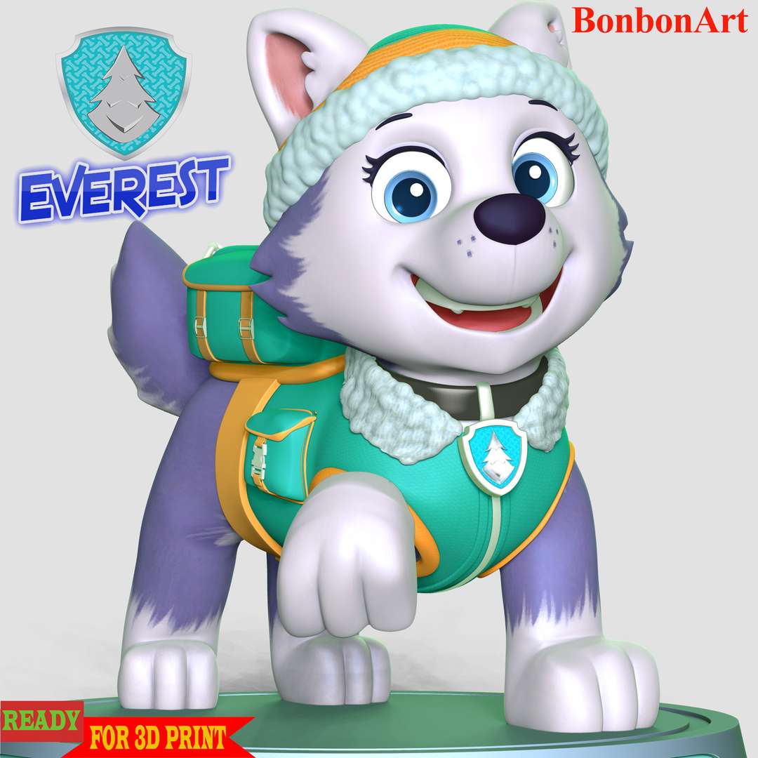 CO3D - Everest - Paw Patrol