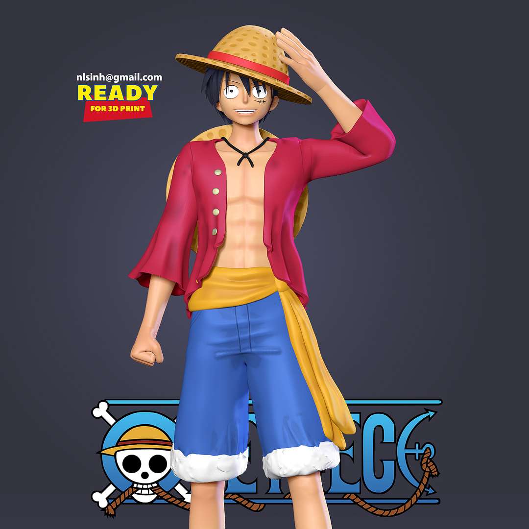 Co3d Luffy One Piece Fan Art 