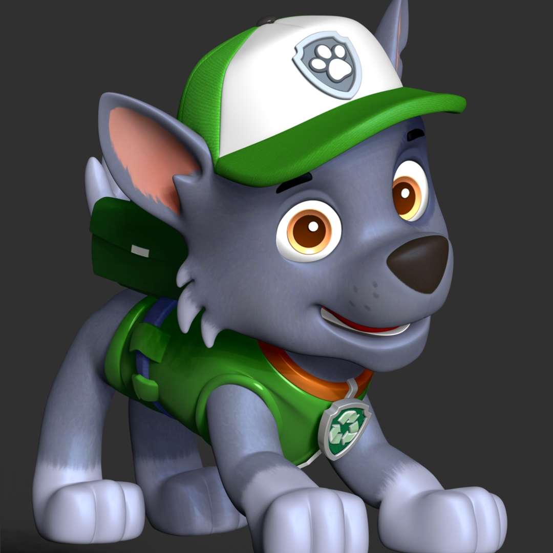 Rocky Paw Patrol - CO3D