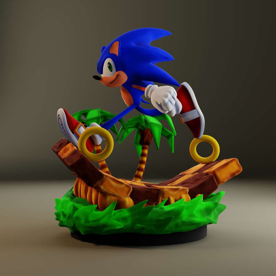 SONIC - Framed print Green Hill Zone (30x40) x2 - Abysse Corp