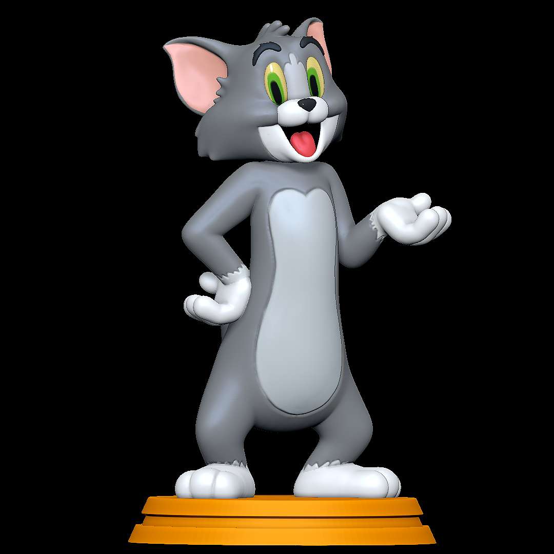 CO3D - Tom - Tom and Jerry