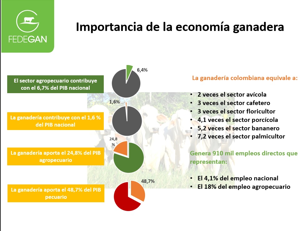 Dane Reveló Que Ganadería Bovina Creció 34 Y Producción De Leche Repuntó 42 En Iii 7229