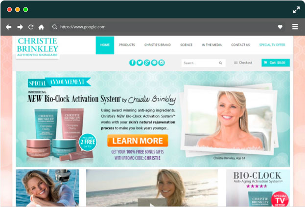 eCommerce Web Development Services: Marketplaces, Online Stores, ... – Greenice - Image 2
