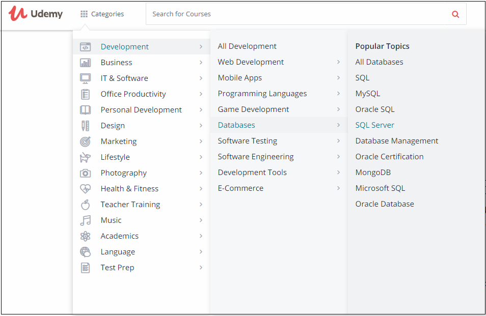 Udemy categories