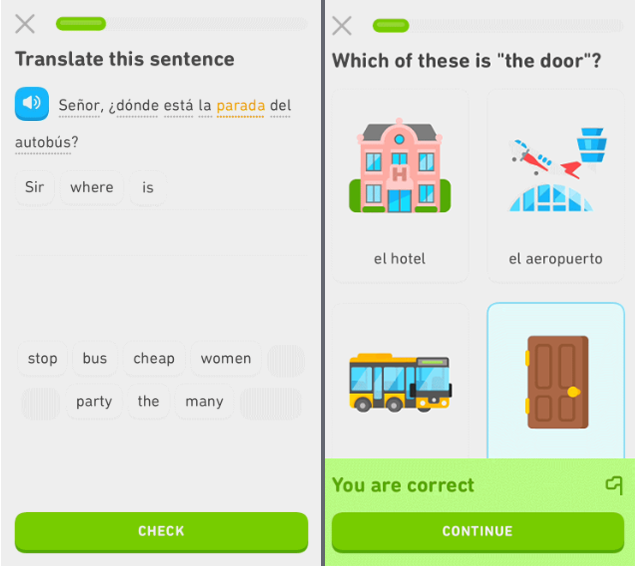 create language app like duolingo