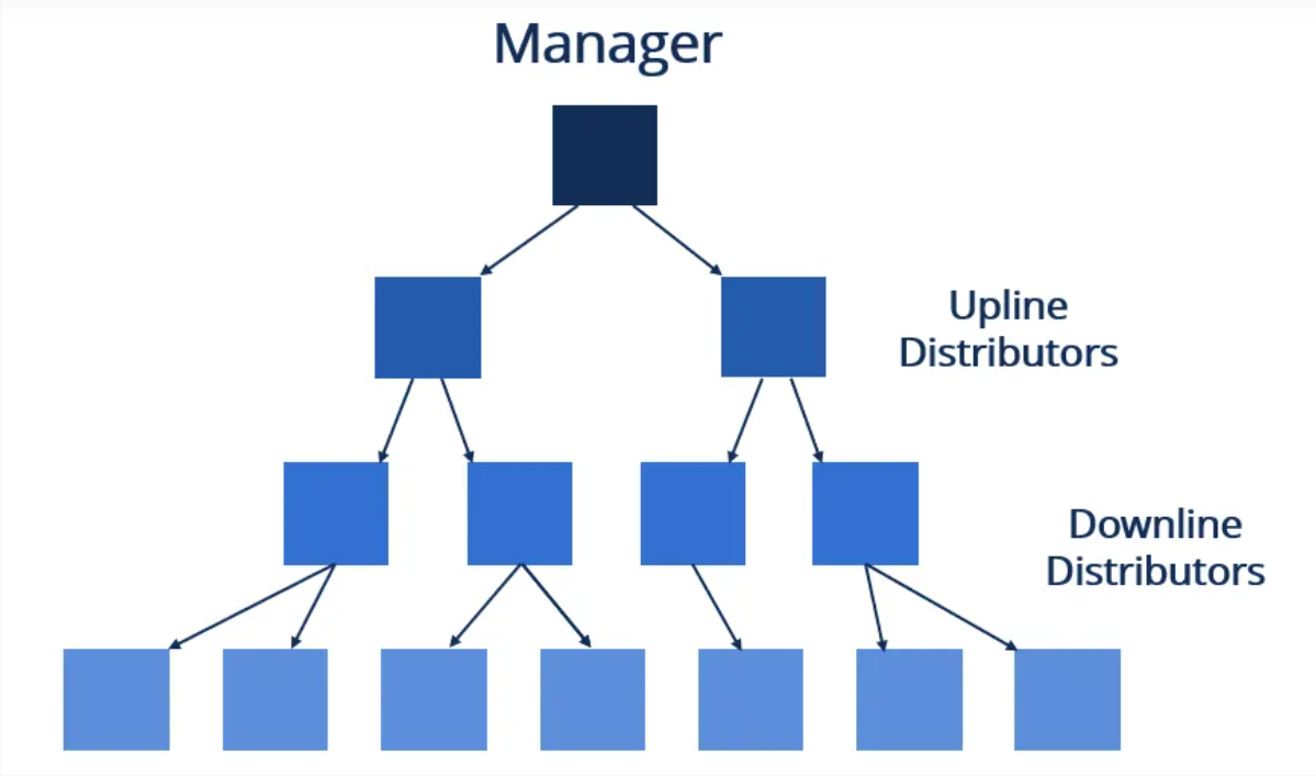 MLM structure