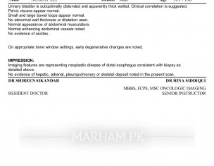 CT Scan Reports