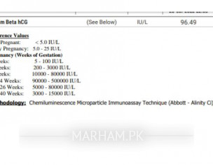 Report Result