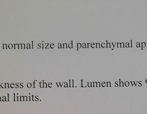 Gall Bladder