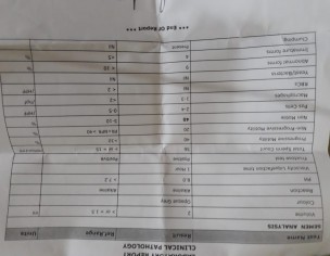 Semen Analysis