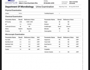 View Report
