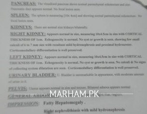 Kidney Problem