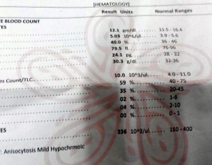 Test Reports