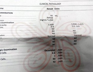 Test Reports