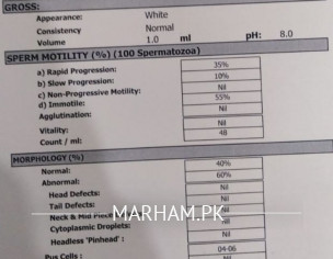 Semen Analysis