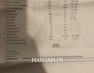 Report Check Cbc