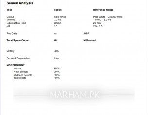 Seman Analysis Test Guide