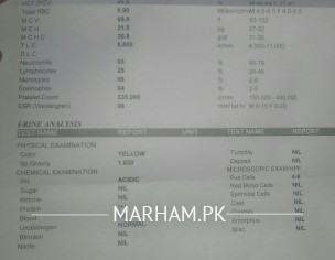 Kidney Function