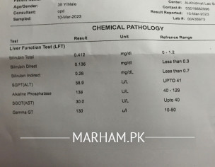 Test Report