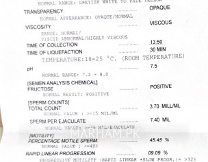 Low Sperm Counts