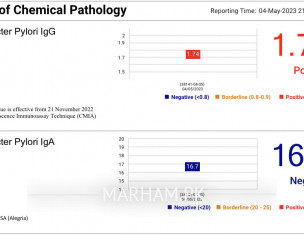 IgG Positive 