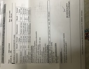 Cardiologist 