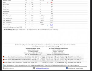 Report Checking 