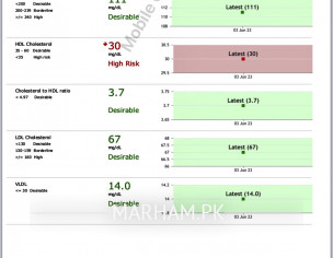 Lipid Profile