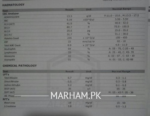 Lab Report