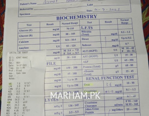 Kidney Problems 