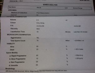 Semen Analysis Report