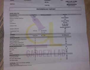 Sperm Analysis 2 Report Attached